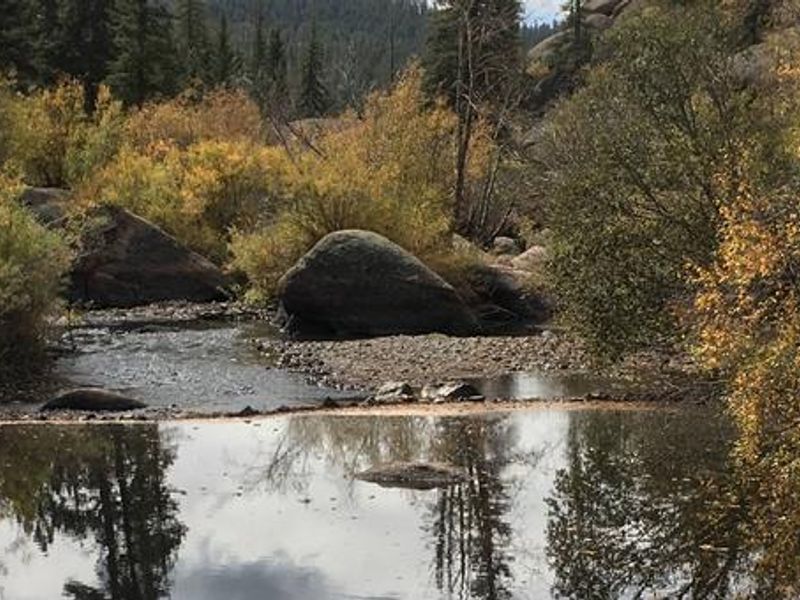 Spruce Grove Campground