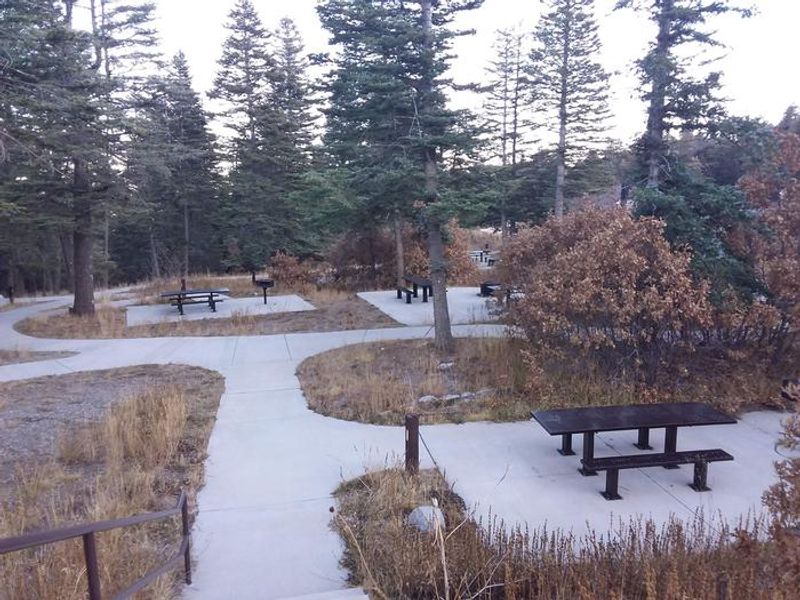 Capulin Spring Picnic Site with dispersed gathering areas