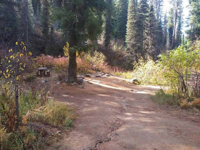 This spot is a short walk down the narrow dirt path from the other sites.  It features an in-ground campfire pit and picnic table.
