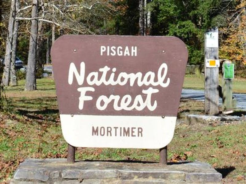 Welcome to Mortimer Campground