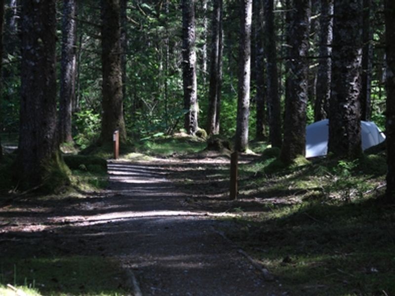 The Bartlett Cove Campground is a serene spot. Where else in the world can you camp in the woods and hear the breathing of whales?