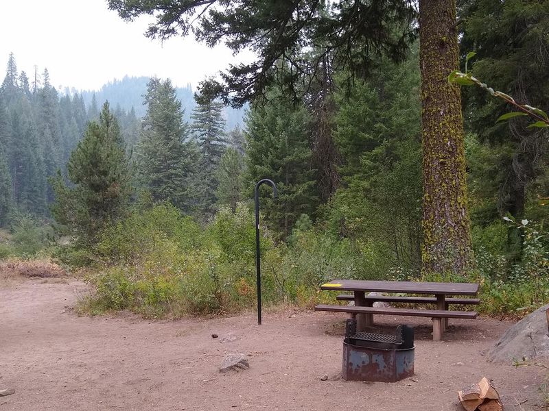 Site 5, surrounded by trees.