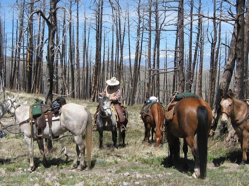 Riding into Deer Cr Cabin via Jim's Gulch Trail