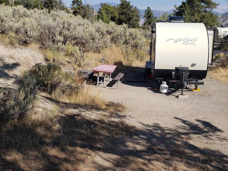 Mammoth Campsite #64