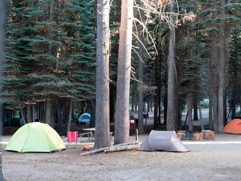Tamarack Flat Campsites