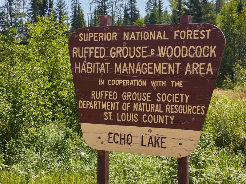 Ruffed Grouse Habitat Area