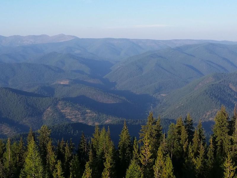 Up Up Lookout Tower view.