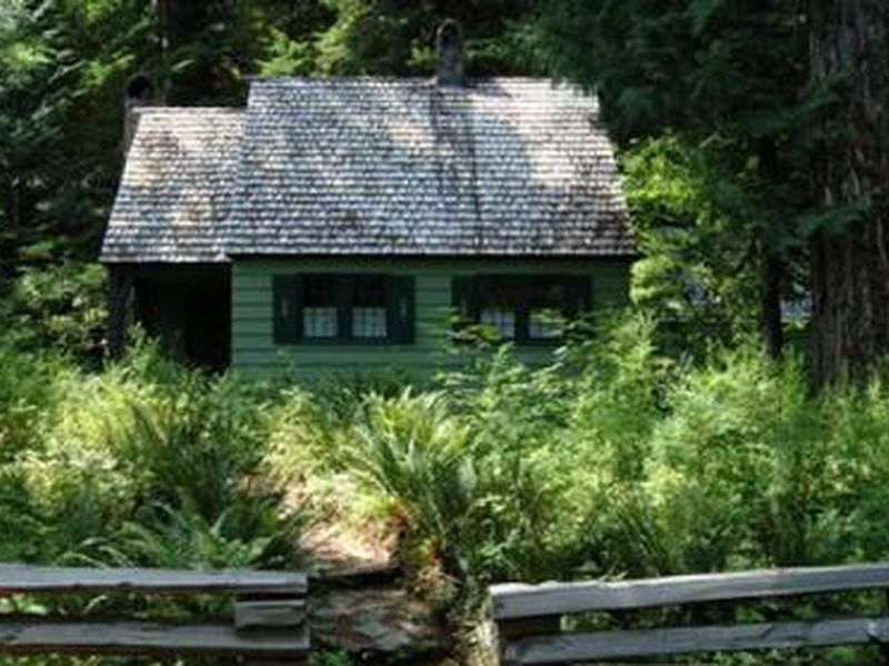 Cabin with shake roof and green clapboard siding surrounded by ferns and conifer trees.