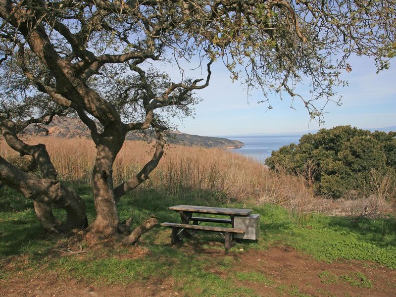 Del Norte Backcountry, Santa Cruz Island
