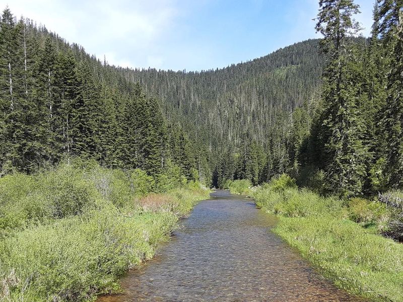 Little North Fork Coeur d'Alene River