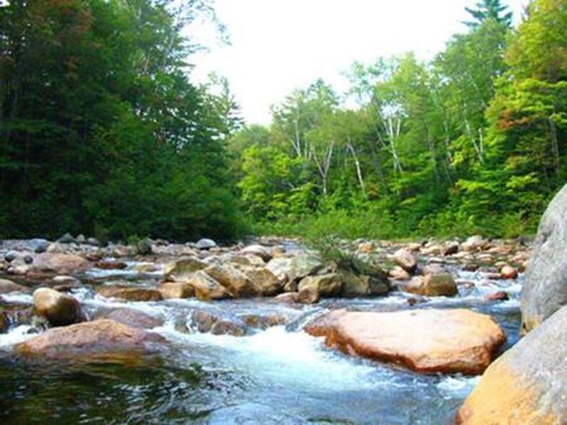 Mad River adjacent to the campground