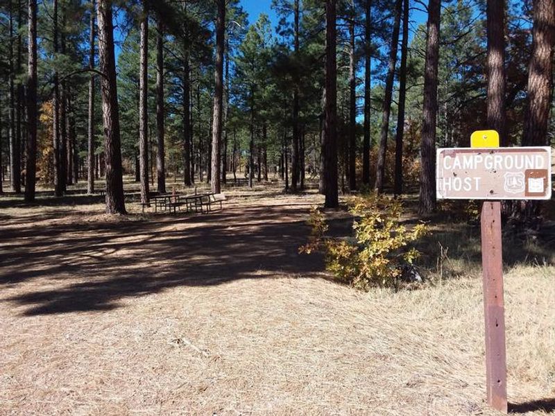 Site host Lew Canyon