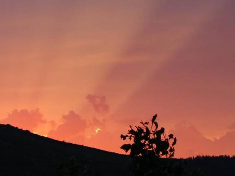 Plumas National Forest