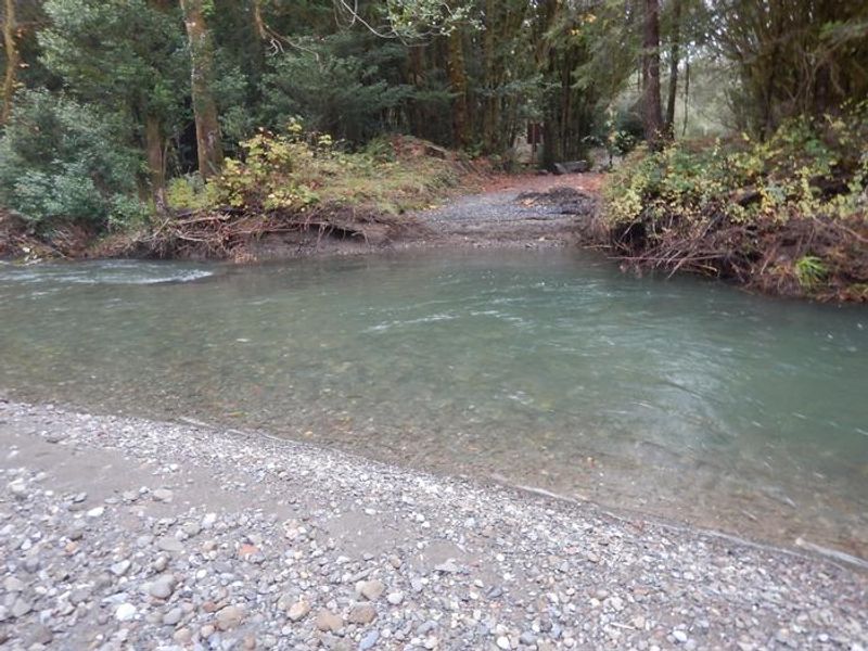 Edson Creek Gravel Bar
