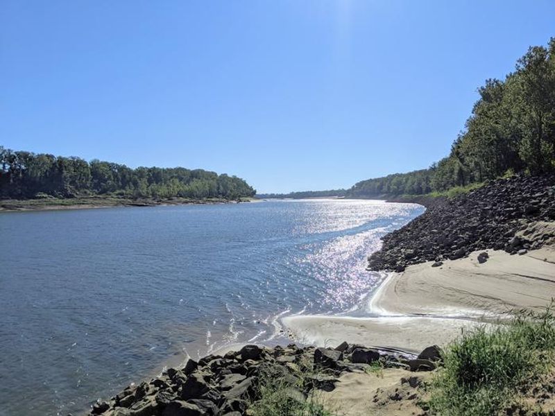 Wilbur D. Mills - Arkansas River