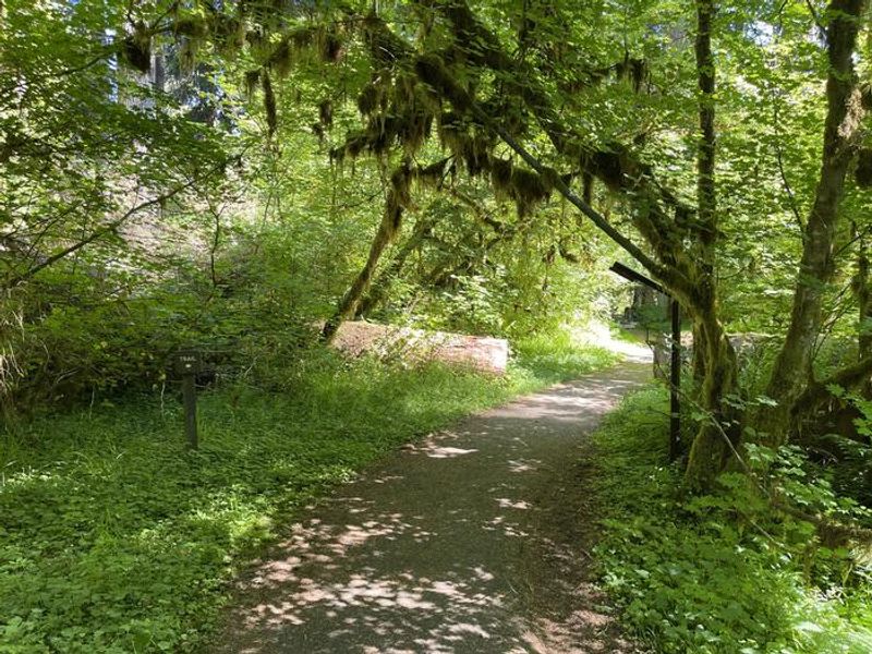 Trail from the RV park to loop A