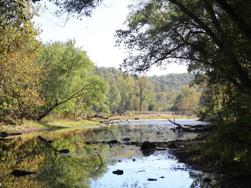 This small inlet is a great place to see amphibians, fish, birds, and other wildlife.
