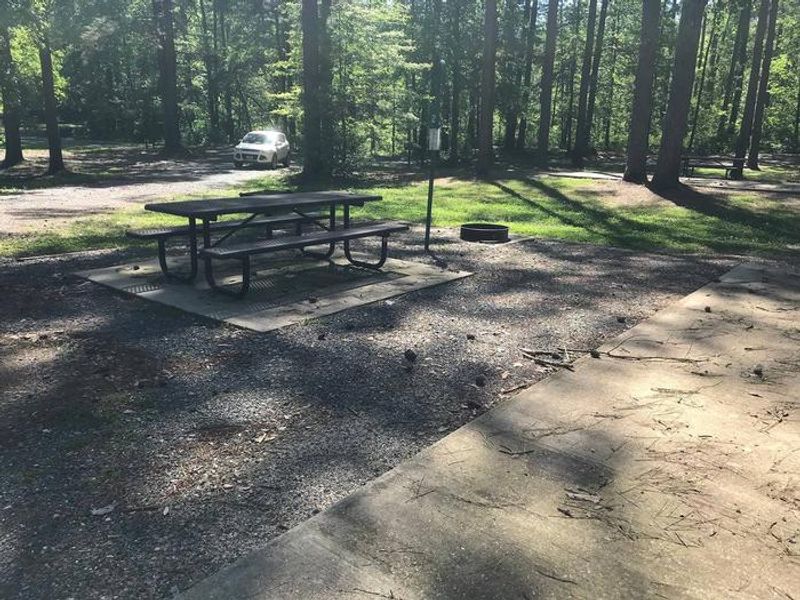 Shaded Class A Campsite #2. RV pad, water, and 20/30/50 AMP electric hook-ups as well as basic campsite amenities including a picnic table, lantern post, fire ring, trash can and grill.