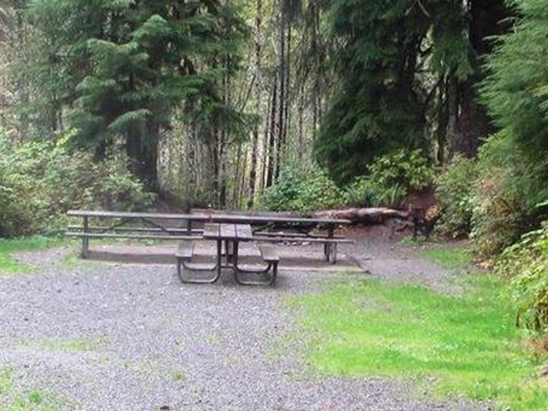 Esswine Group Campground