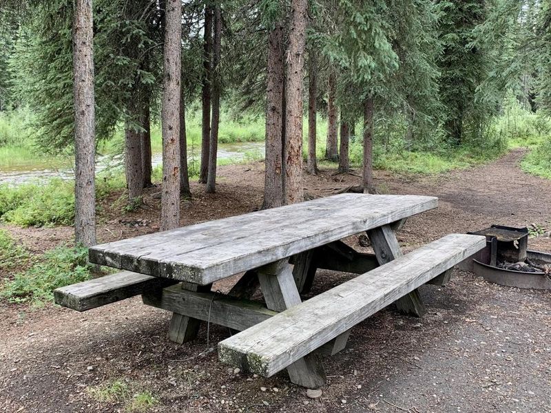 Ophir Creek Campground Typical Campsite 