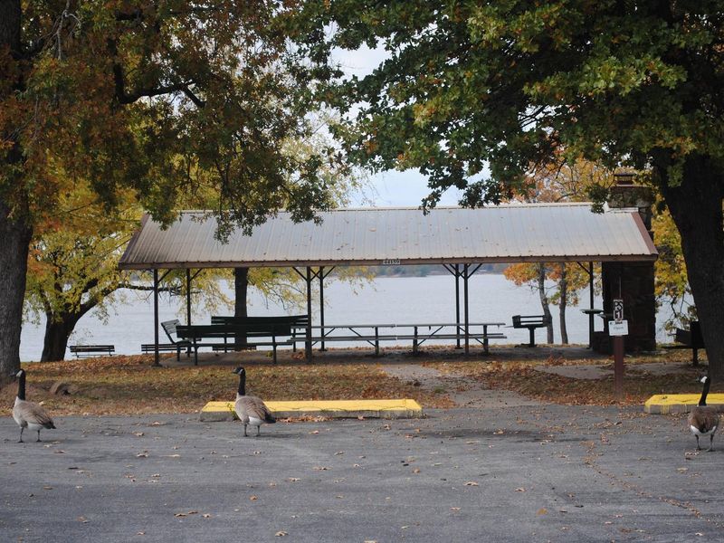 Hwy 9 North Picnic Shelter