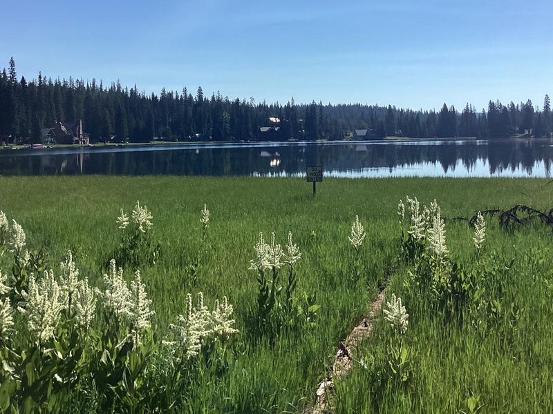 no access to the lake