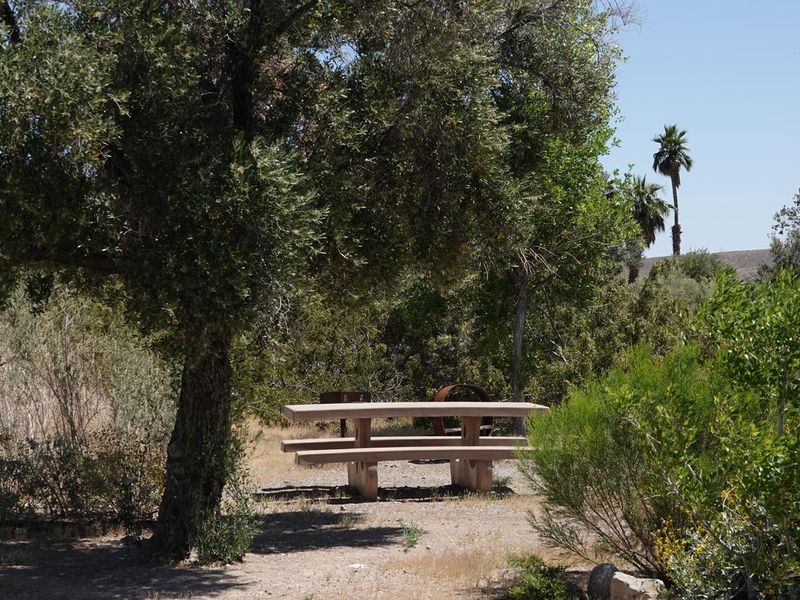 Las Vegas Bay Campground offers shade trees and an enjoyable camping experience away from the lights of the city.
