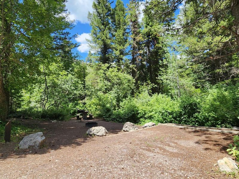 A shady campsite at Malad Summit