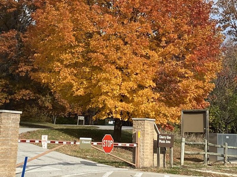 Cherry Glen Picnic Area - Just a walk away!