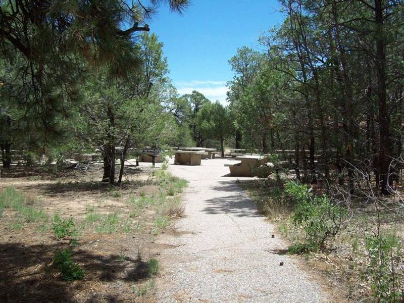 Oak Yucca and Locust Group Picnic Sites 