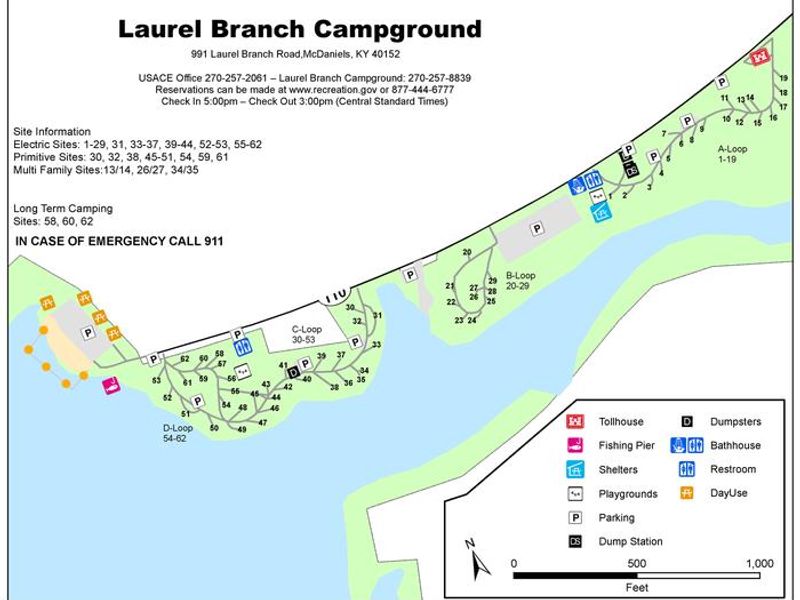 Laurel Branch Campground map