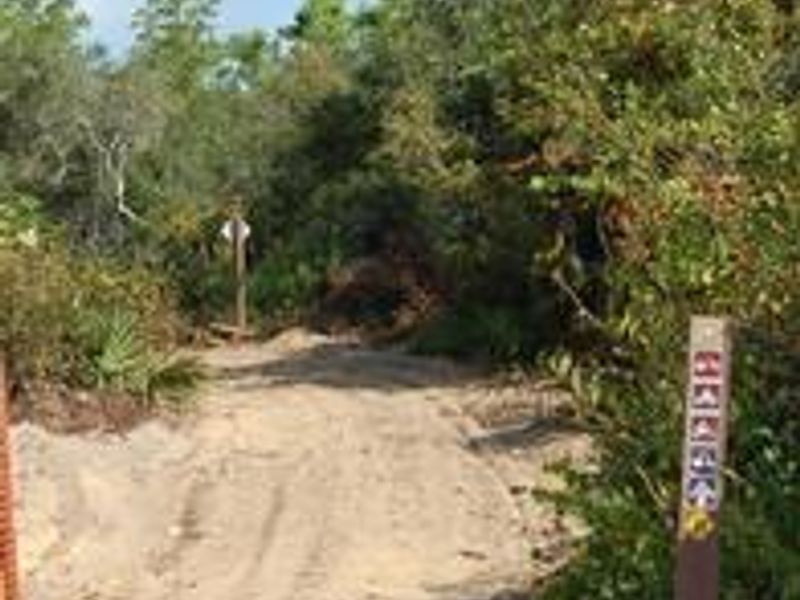 OHV trail leaving Big Scrub Campground.