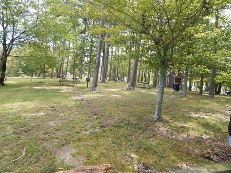 This is a photo of other picnic sites avaliable at Ivy Hill Park. There are picnic tables, trash cans and grills throughout the park. Most of the picnic sites are shaded but they are not covered by a shelter. 