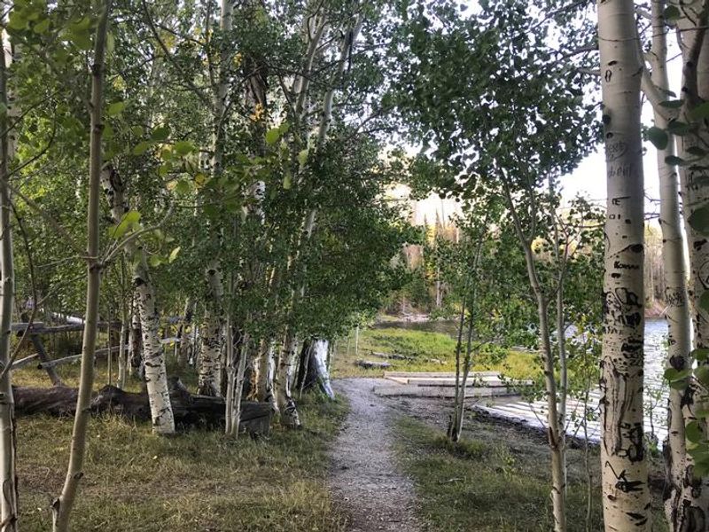 Willow Lake Campground