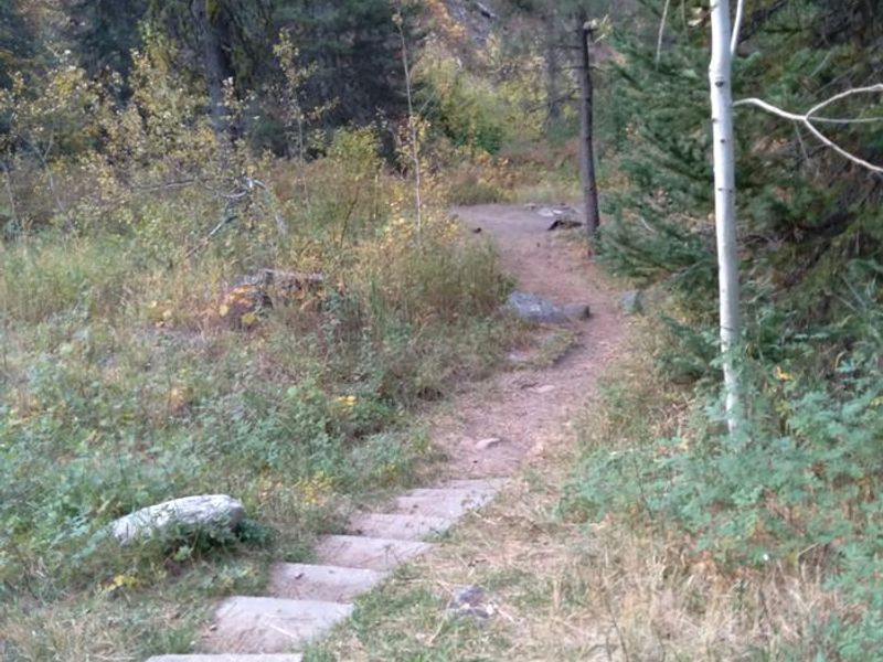 Ten Mile Site 6 has a small path with shallow stairs that leads to the camping area.