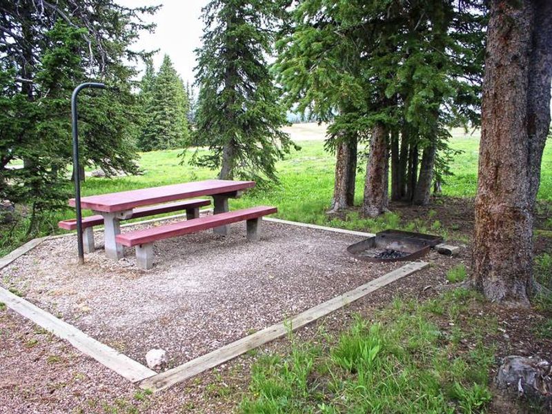 Bald Mountain Site 6