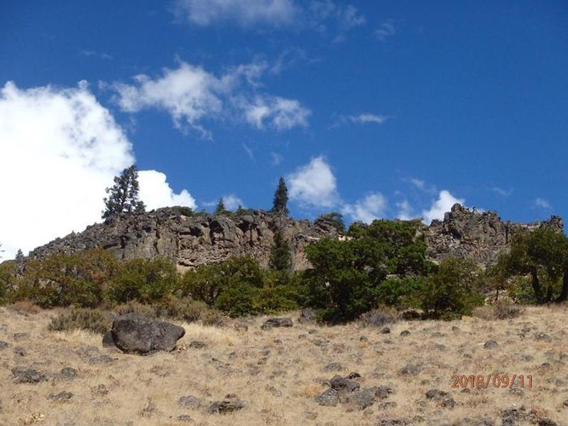 This Campground  offers mountain and wildlife viewing
