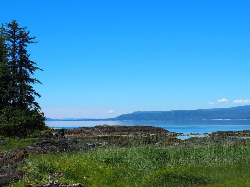View from Steamer Bay Cabin