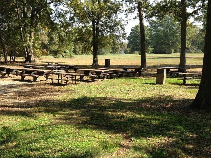 Picnic Area C-1