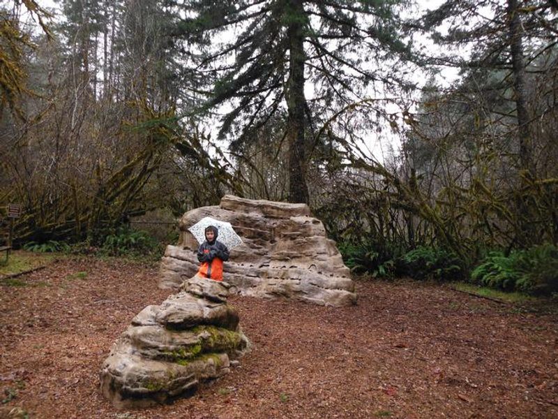 rock play structure at Clay Creek in the rain
