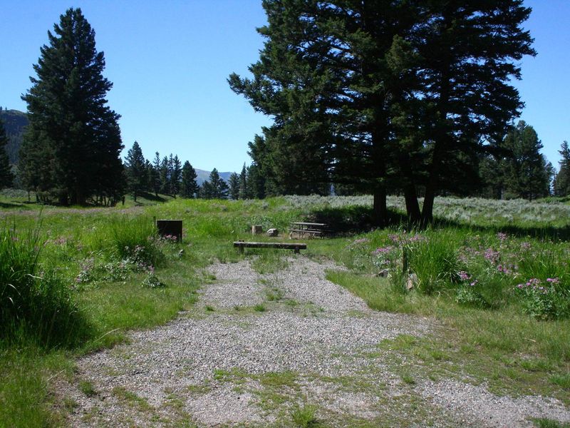 Slough Creek Campground Site #8