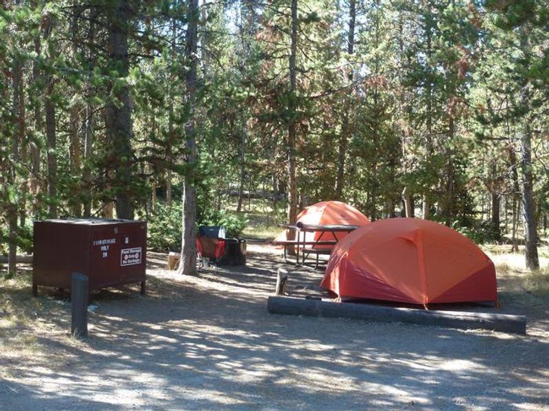 Indian Creek Campground site #20