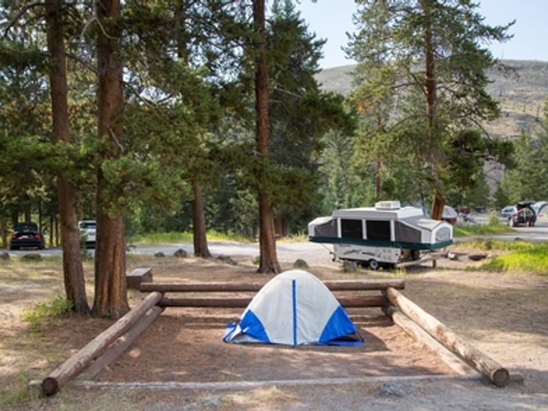 Campsite at Tower Fall Campground