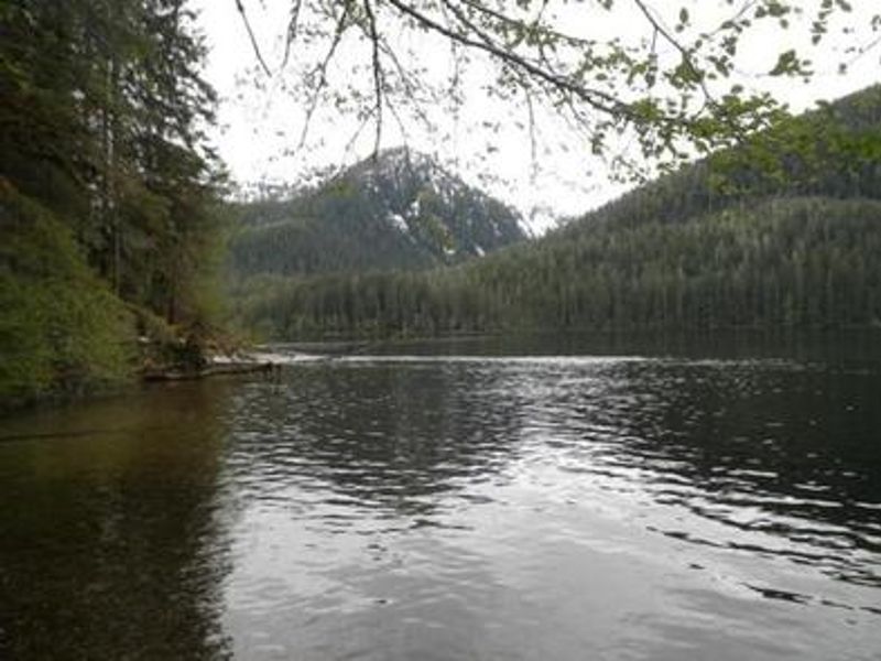 Eagle Lake Cabin scenery