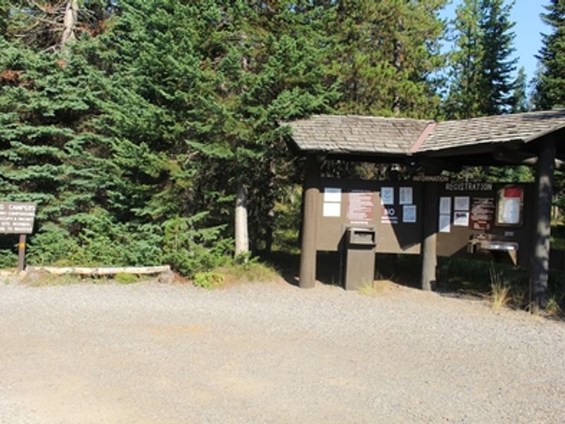 Both tent campers and small RVs are welcome.