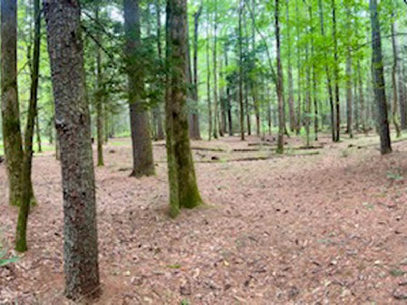 Basin Cove Backcountry Camping