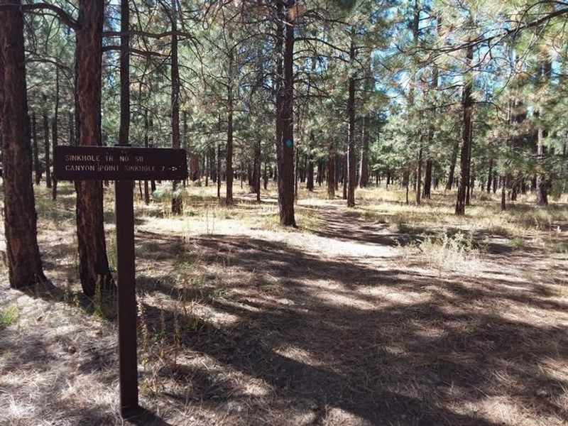 CANYON POINT Loop A Sinkhole Trail