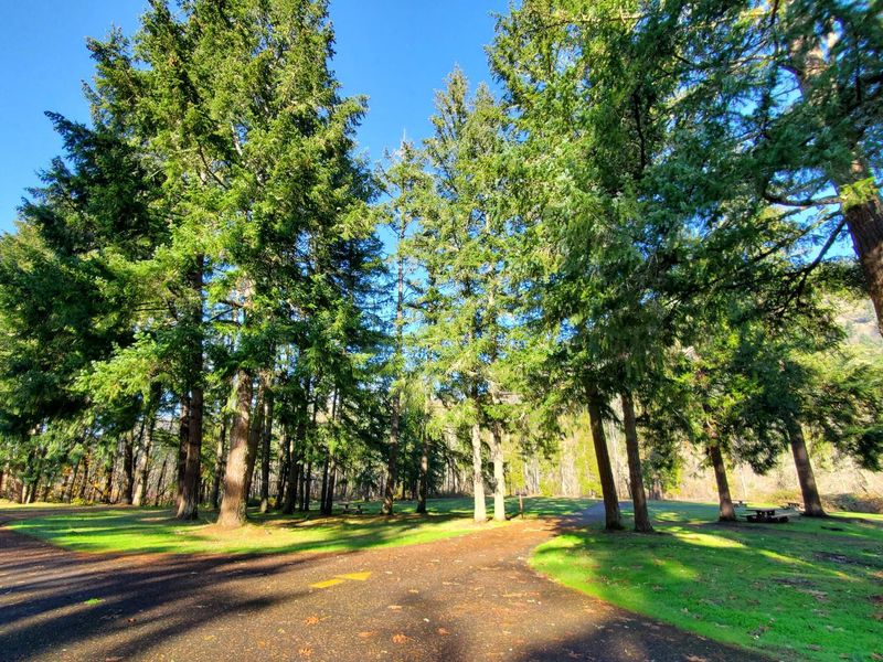Camping loop at Schwarz Park