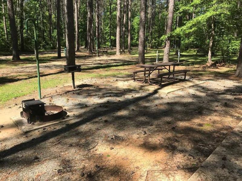 Shaded Class A Campsite #19. RV pad, water, and 20/30/50 AMP electric hook-ups as well as basic campsite amenities including a picnic table, lantern post, fire ring, trash can and grill.