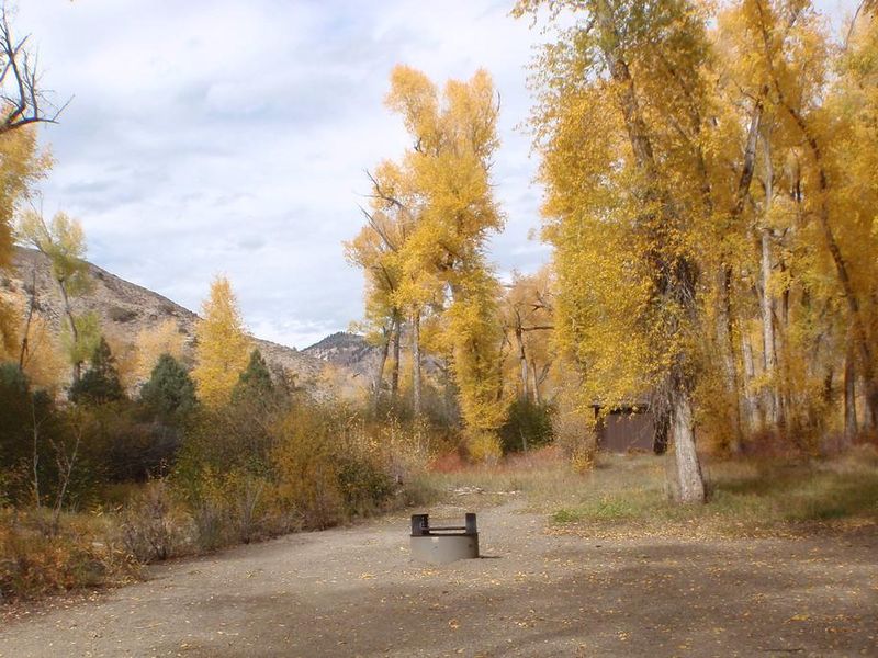Fire pit closest to pavilion